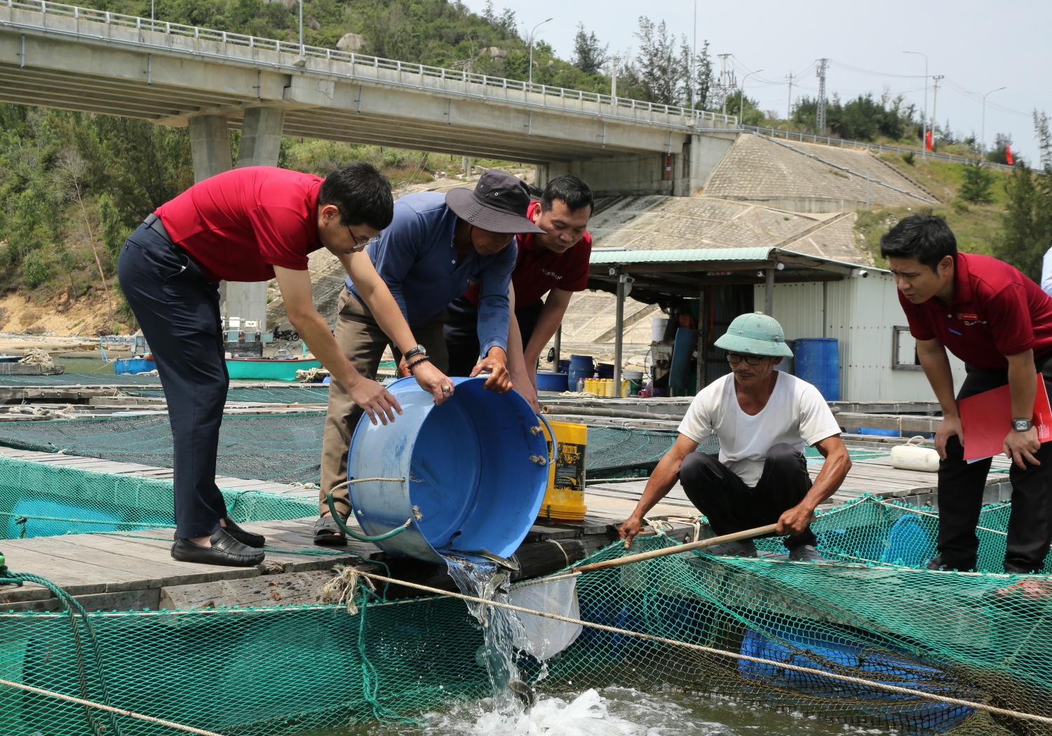Từ tiếp cận vốn đến phát triển bao trùm: Dấu ấn tài chính toàn diện ở nông thôn (Kỳ 1)