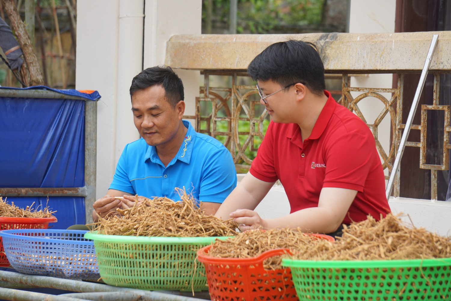 Từ tiếp cận vốn đến phát triển bao trùm: Dấu ấn tài chính toàn diện ở nông thôn (Kỳ 2) Từ tiếp cận vốn đến phát triển bao trùm: Dấu ấn tài chính toàn diện ở nông thôn (Kỳ 2)