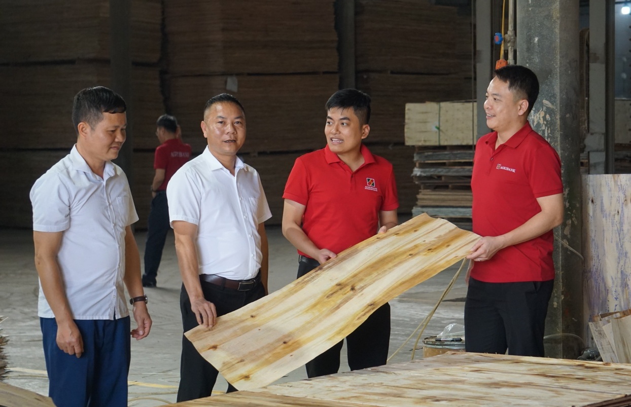 Từ tiếp cận vốn đến phát triển bao trùm: Dấu ấn tài chính toàn diện ở nông thôn (Kỳ 2)