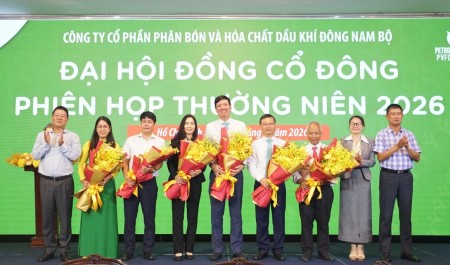 ĐHĐCĐ 2026: PSE kiện toàn bộ máy quản trị, đặt mục tiêu doanh thu hơn 4.000 tỷ đồng