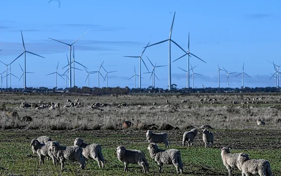 Australia sắp có trang trại điện gió lớn nhất Nam bán cầu
