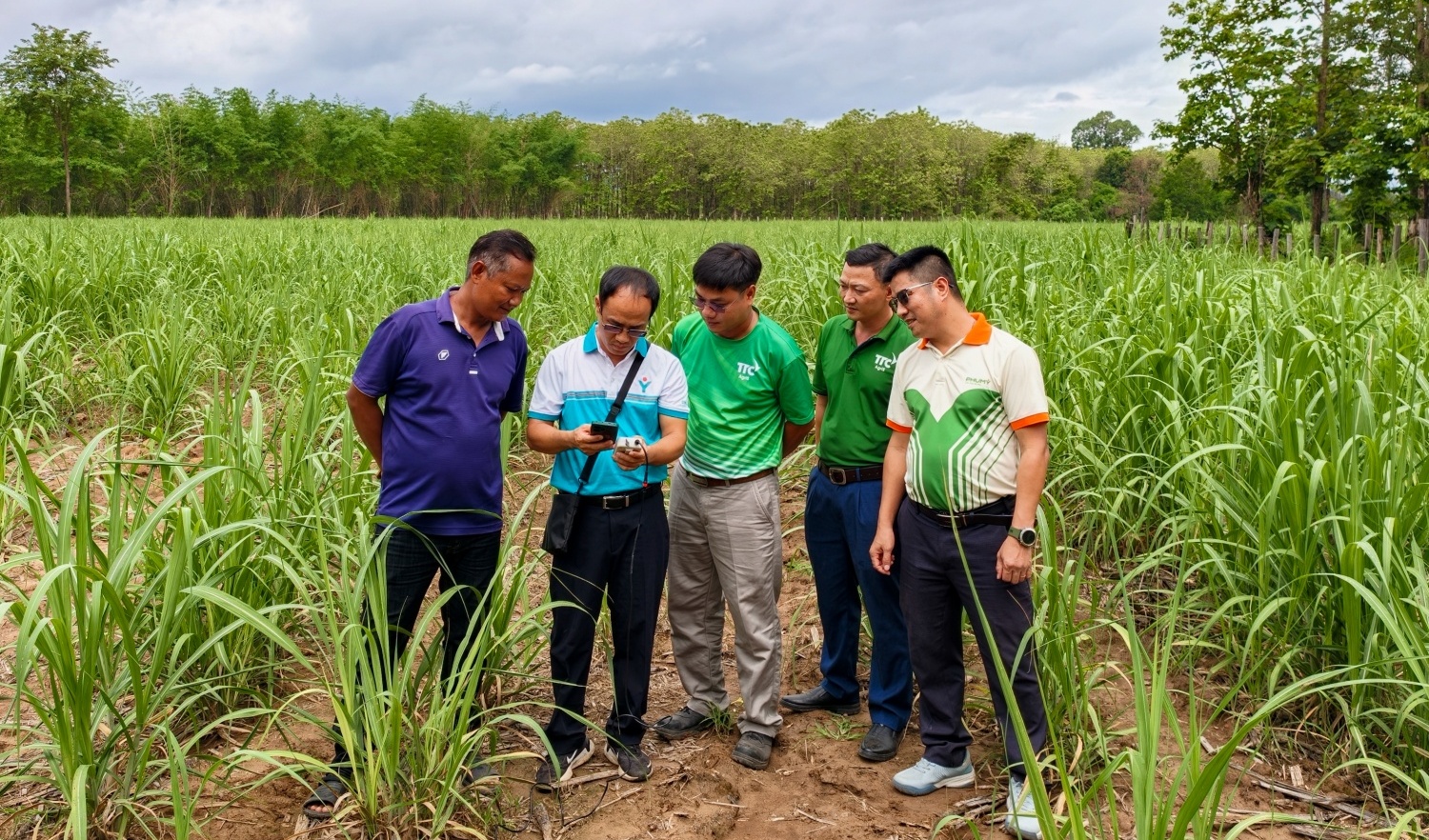 PVFCCo - Phú Mỹ tăng cường hợp tác phát triển nông nghiệp tại Lào