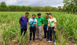 PVFCCo - Phú Mỹ tăng cường hợp tác phát triển nông nghiệp tại Lào