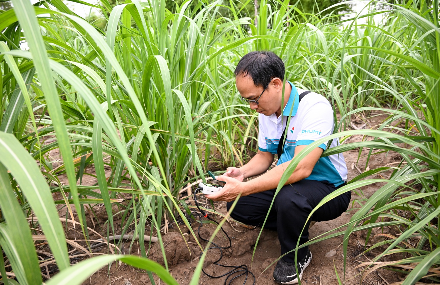 PVFCCo   Phú Mỹ tăng cường hợp tác phát triển nông nghiệp tại Lào