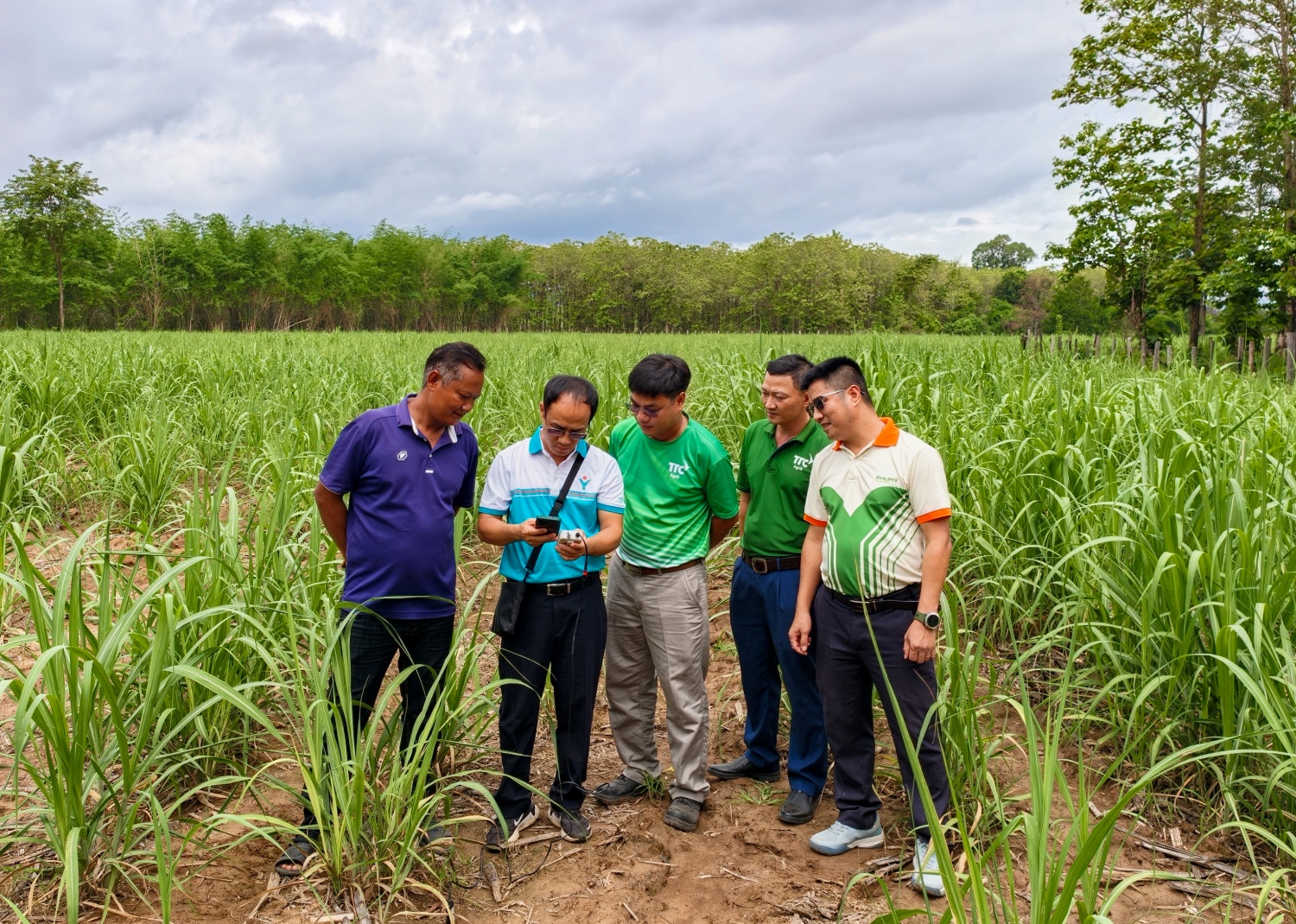 PVFCCo   Phú Mỹ tăng cường hợp tác phát triển nông nghiệp tại Lào