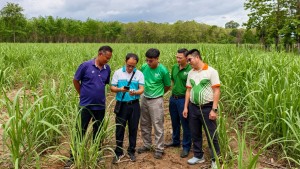 PVFCCo - Phú Mỹ tăng cường hợp tác phát triển nông nghiệp tại Lào
