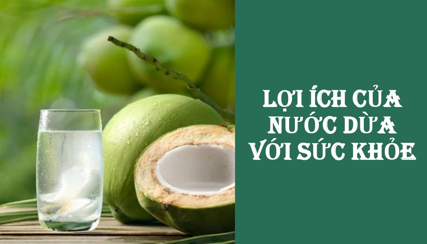 [Infographic] 7 lợi ích tuyệt vời của nước dừa với sức khỏe