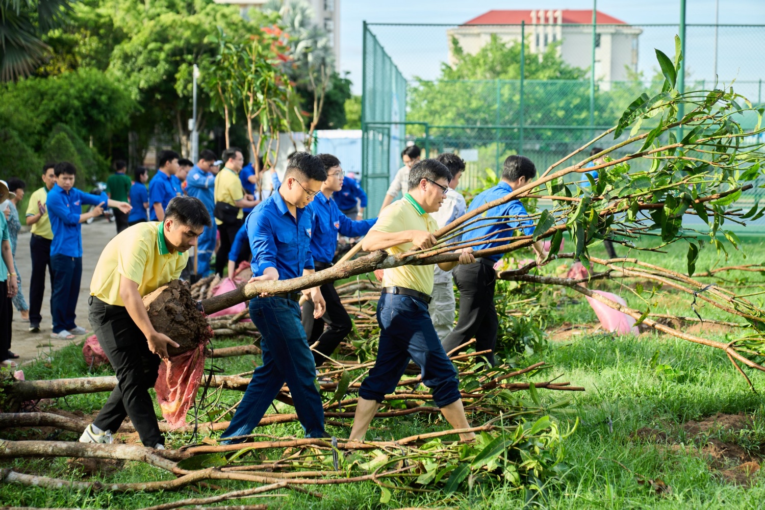 PVCFC chung tay kiến tạo không gian xanh, lan tỏa giá trị bền vững PVCFC chung tay kiến tạo không gian xanh, lan tỏa giá trị bền vững