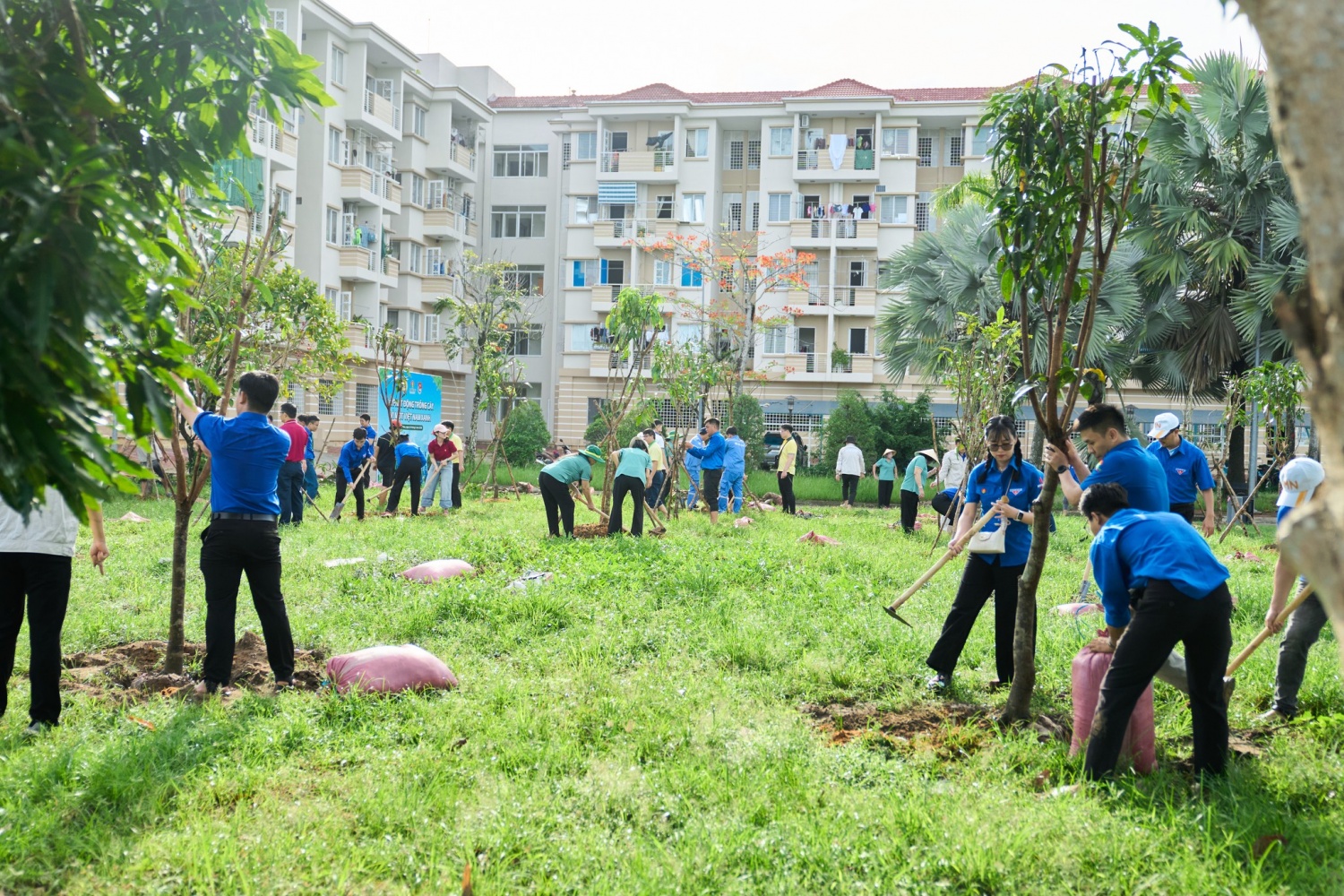 PVCFC chung tay kiến tạo không gian xanh, lan tỏa giá trị bền vững PVCFC chung tay kiến tạo không gian xanh, lan tỏa giá trị bền vững