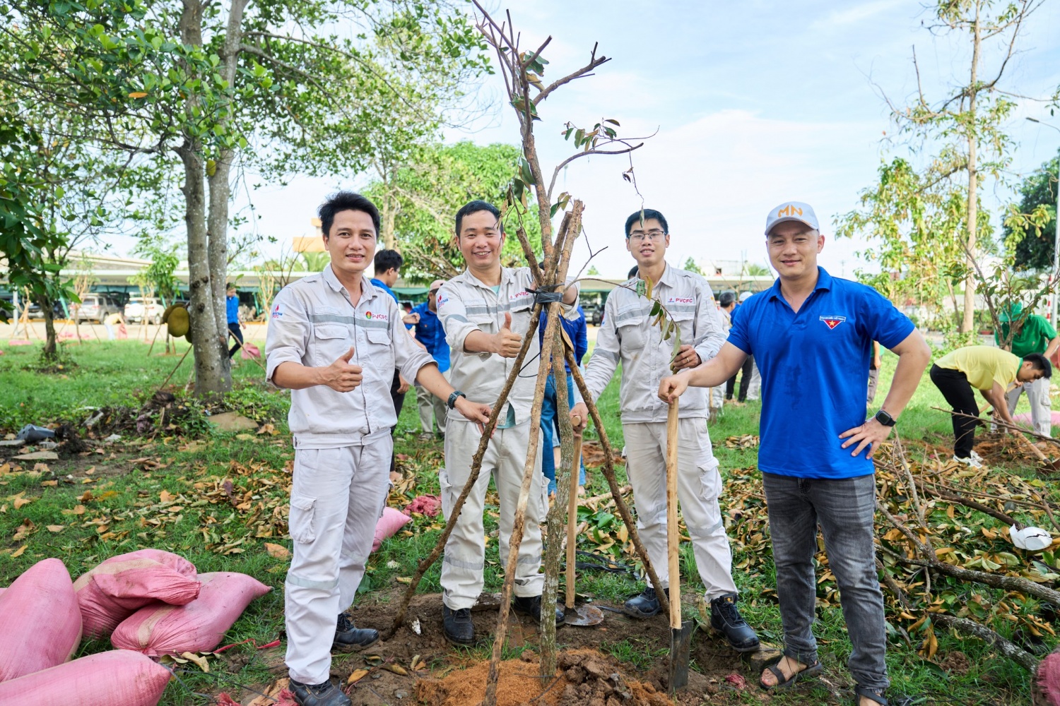 PVCFC chung tay kiến tạo không gian xanh, lan tỏa giá trị bền vững