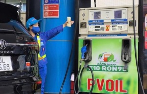 Bộ Công Thương yêu cầu các hãng xe công bố khả năng tương thích với xăng E10