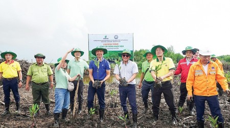 Ngày Môi trường Thế giới: “Áp lực kép” của ngành năng lượng