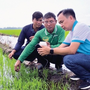 Những hạt phân bón giữ màu xanh cho đất
