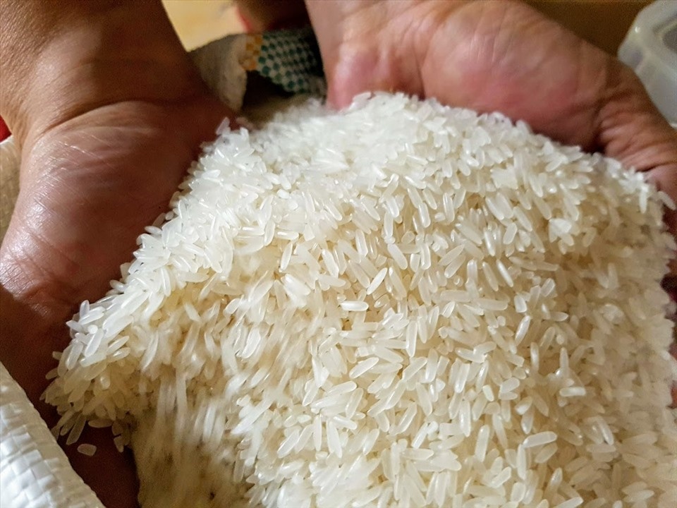 Tin tức kinh tế ngày 5/6: 90% gạo xuất khẩu là gạo chất lượng cao, phát thải thấp