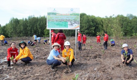 Petrovietnam trồng rừng tại Cà Mau: Gieo mầm xanh từ trách nhiệm phát triển bền vững