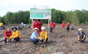 Petrovietnam trồng rừng tại Cà Mau: Gieo mầm xanh từ trách nhiệm phát triển bền vững