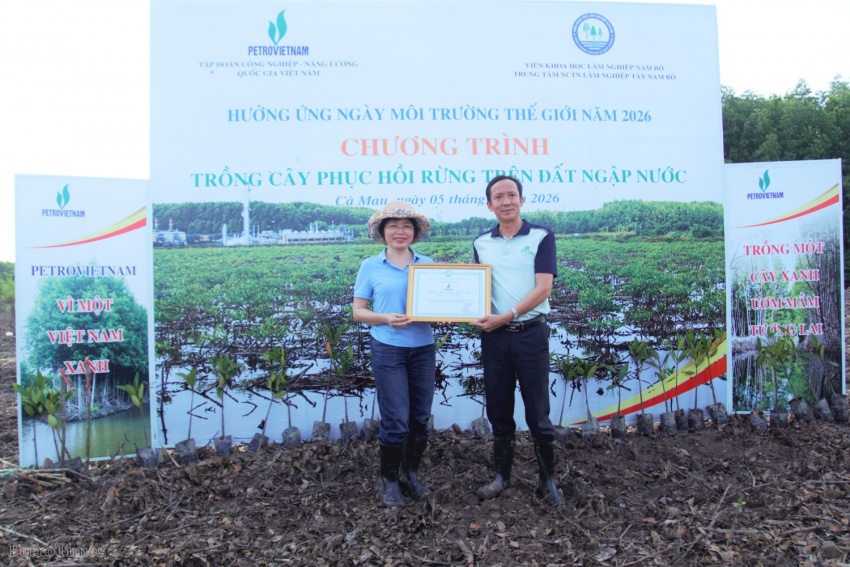 Petrovietnam trồng rừng tại Cà Mau: Gieo mầm xanh từ trách nhiệm phát triển bền vững