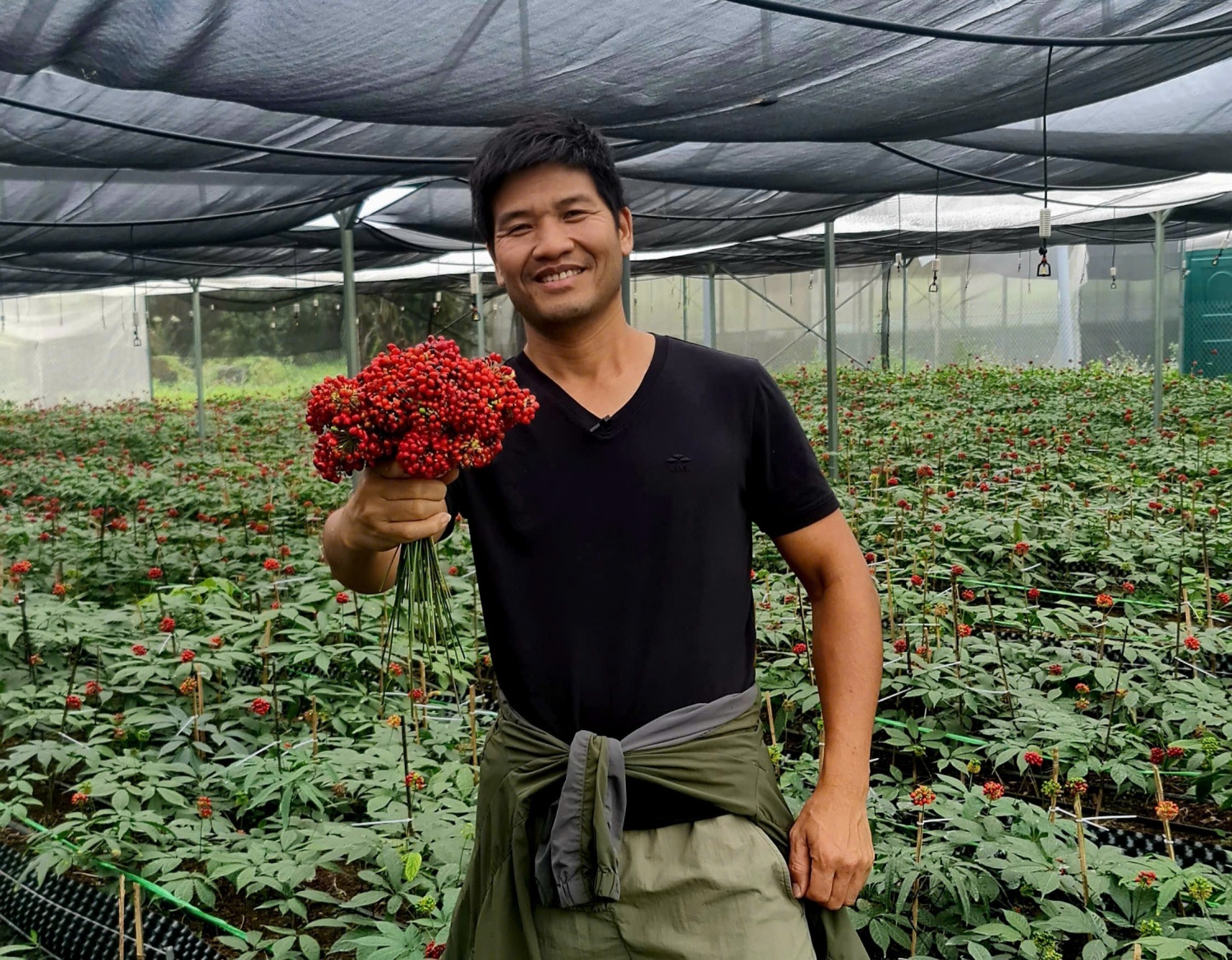 Nhà báo Phạm Ngọc Dương: Miệt mài tìm đường cho Sâm Việt cất cánh