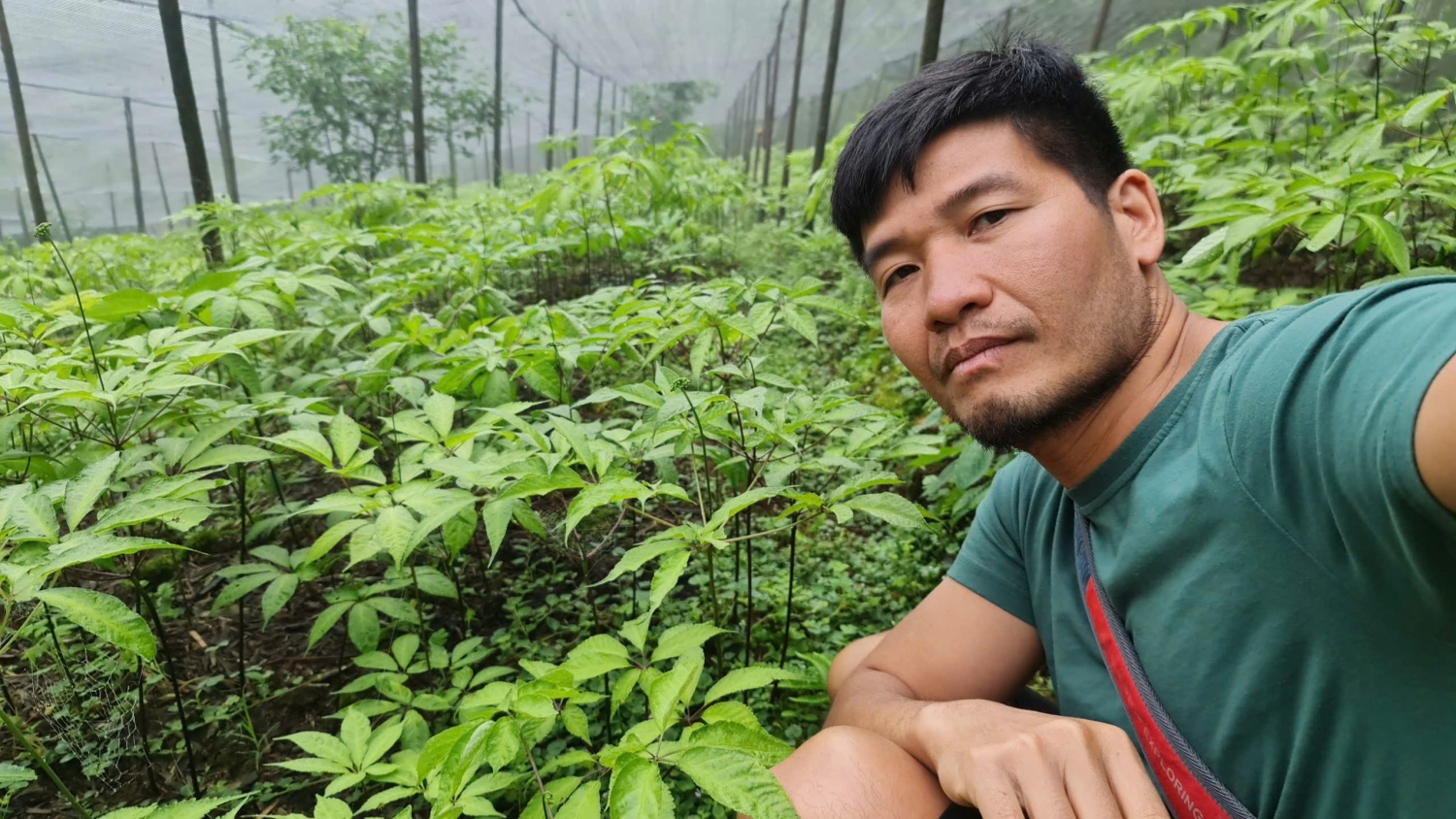Nhà báo Phạm Ngọc Dương: Miệt mài tìm đường cho Sâm Việt cất cánh