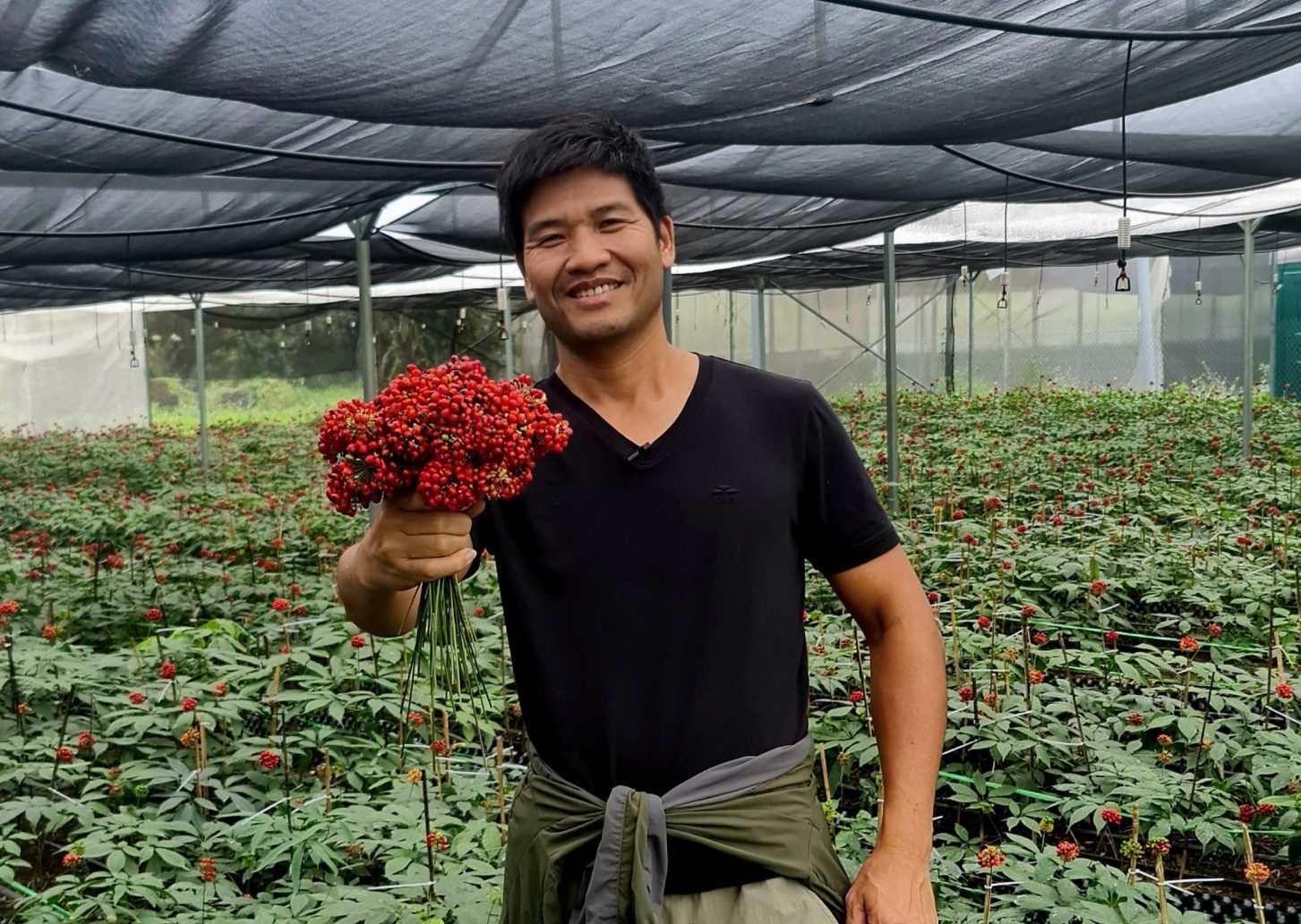 Nhà báo Phạm Ngọc Dương: Miệt mài tìm đường cho sâm Việt cất cánh