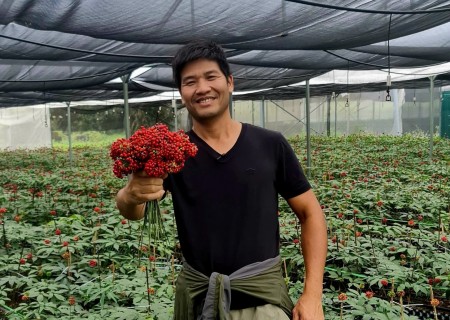Nhà báo Phạm Ngọc Dương: Miệt mài tìm đường cho sâm Việt cất cánh