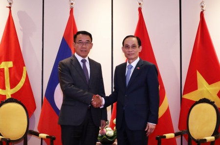 Tăng cường phối hợp đối ngoại Việt Nam - Lào