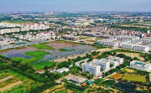 Từ bài toán định giá đến hệ số điều chỉnh giá đất: Cần một lộ trình đủ chắc để tránh những cú sốc mới