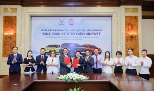 Taxi Quê Lụa tăng tốc chuyển đổi xanh, mua thêm 2.000 ô tô điện