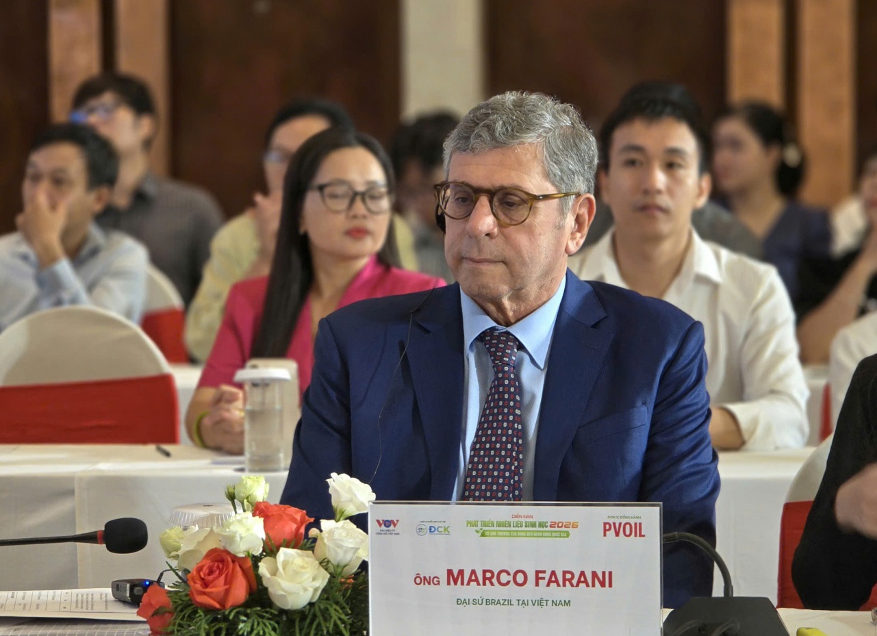 Phát triển nhiên liệu sinh học tại Việt Nam: Bài học từ hình mẫu thành công của Brazil Phát triển nhiên liệu sinh học tại Việt Nam: Bài học từ hình mẫu thành công của Brazil
