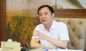 Petrovietnam triển khai lộ trình nâng tầm quản trị theo chuẩn OECD