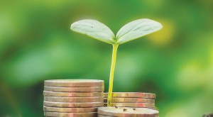 Tin tức kinh tế ngày 23/6: Tín dụng xanh tăng trưởng bình quân trên 20% mỗi năm