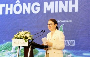 Kinh nghiệm quốc tế gợi mở hướng đi cho hạ tầng năng lượng Việt Nam