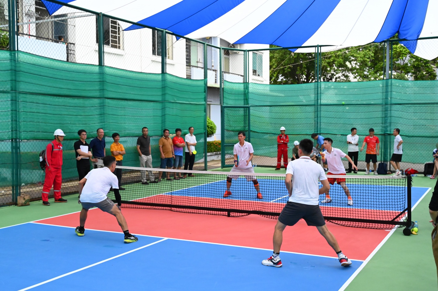 Hội thao Pickleball khu vực phía Nam PV Power năm 2026: Lan tỏa tinh thần đoàn kết Hội thao Pickleball khu vực phía Nam PV Power năm 2026: Lan tỏa tinh thần đoàn kết