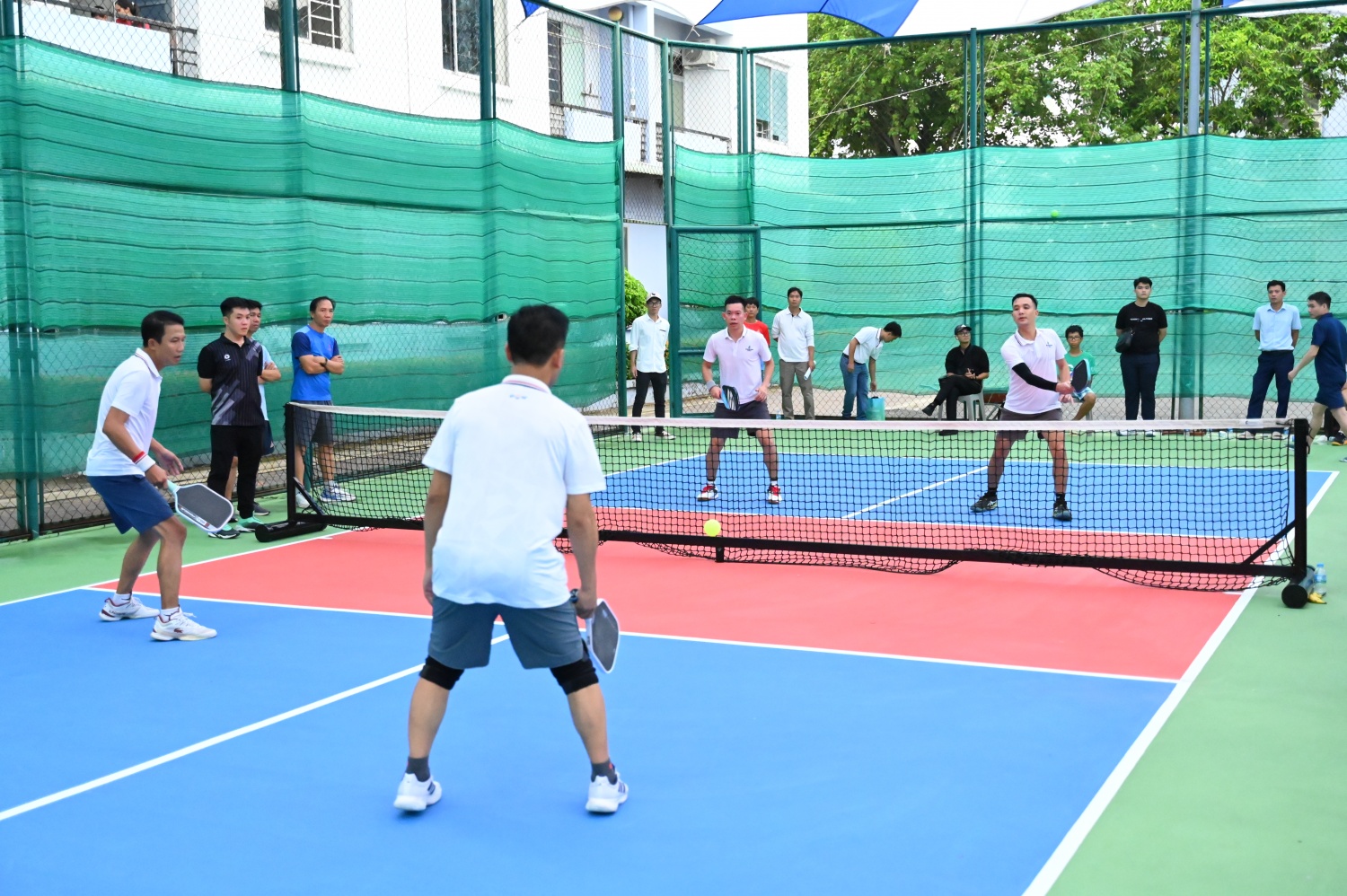 Hội thao Pickleball khu vực phía Nam PV Power năm 2026: Lan tỏa tinh thần đoàn kết Hội thao Pickleball khu vực phía Nam PV Power năm 2026: Lan tỏa tinh thần đoàn kết
