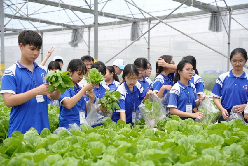 TP HCM: Học sinh khám phá nghề truyền thống và nông nghiệp công nghệ cao