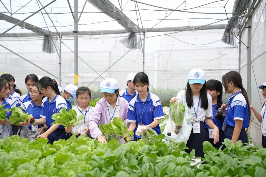 TP HCM: Học sinh khám phá nghề truyền thống và nông nghiệp công nghệ cao