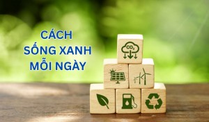 [Infographic] 7 cách sống xanh mỗi ngày