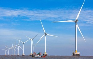 Tin tức kinh tế ngày 30/6: Cà Mau khởi động 2 dự án điện gió tổng công suất 150 MW