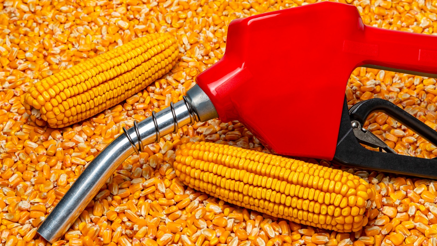 Xăng ethanol ở Ấn Độ và hành trình chuyển dịch năng lượng (Kỳ 2) Xăng ethanol ở Ấn Độ và hành trình chuyển dịch năng lượng (Kỳ 2)