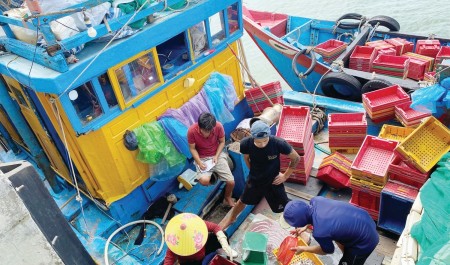 Hạ tầng cảng cá - Chìa khóa gỡ “thẻ vàng” IUU ở Quảng Trị