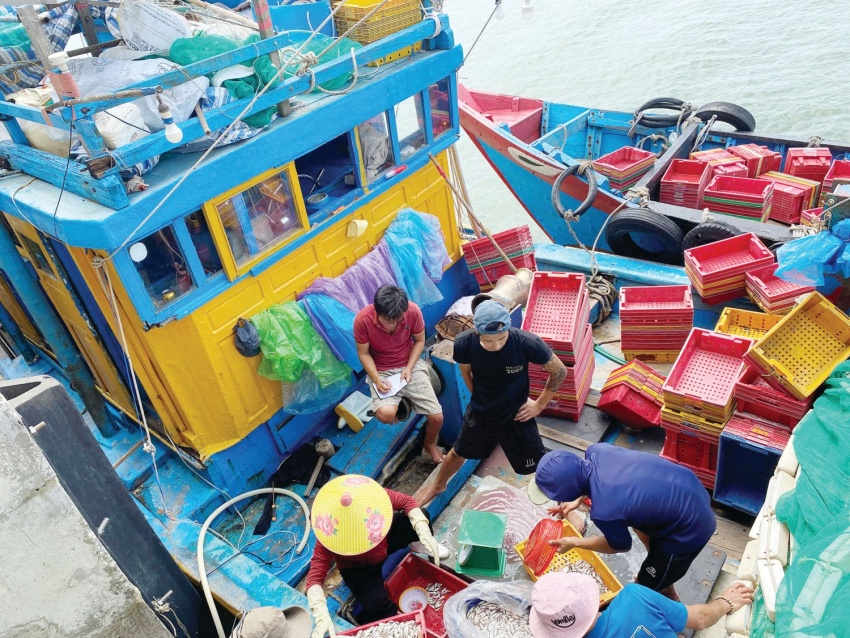 Hạ tầng cảng cá - Chìa khóa gỡ “thẻ vàng” IUU ở Quảng Trị Hạ tầng cảng cá - Chìa khóa gỡ “thẻ vàng” IUU ở Quảng Trị