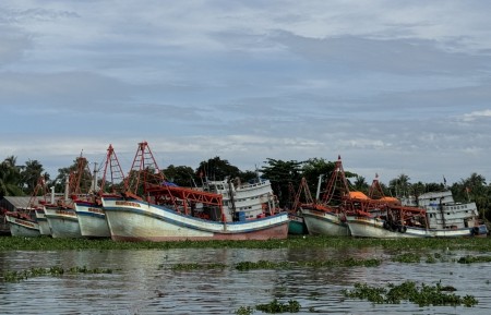 An Giang siết quản lý tàu cá, xử lý dứt điểm tồn tại trong chống khai thác IUU