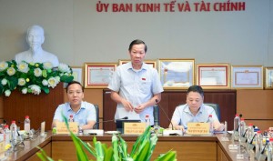 Luật Dầu khí (sửa đổi) cần cắt giảm các khâu trung gian, đảm bảo năng lượng cho phát triển