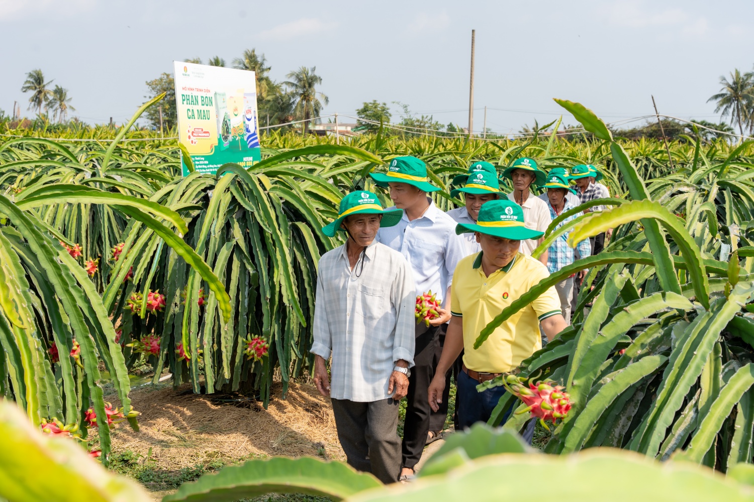 Hỗ trợ nhà nông vượt khó: Điểm tựa cho một mùa vụ vững tin hơn