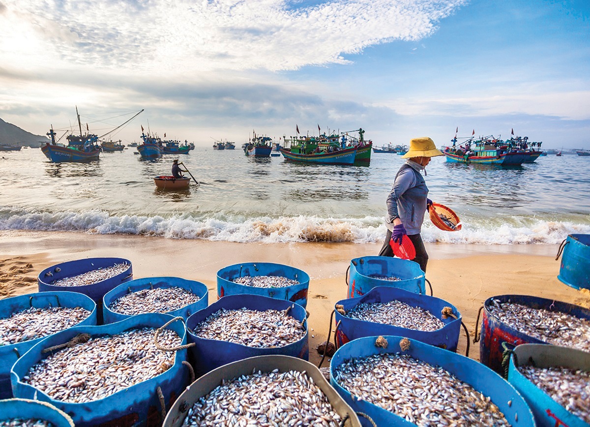 Người giữ “giọt nồng” làng biển Người giữ “giọt nồng” làng biển