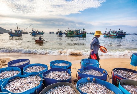 Người giữ “giọt nồng” làng biển