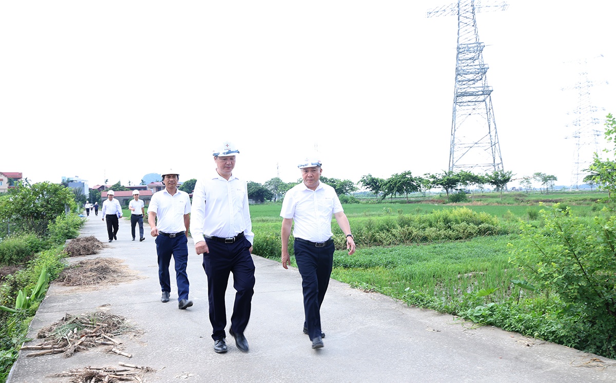 Tập trung nguồn lực, quyết tâm hoàn thành Dự án đường dây 500/220kV Nho Quan - Phủ Lý - Thường Tín trong tháng 7/2026