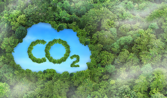 Mở rộng cánh cửa hội nhập quốc tế cho thị trường carbon Việt Nam Mở rộng cánh cửa hội nhập quốc tế cho thị trường carbon Việt Nam