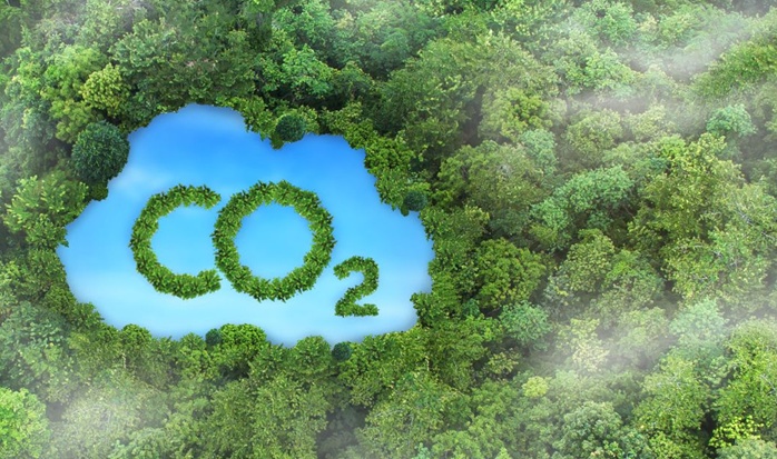 Tin tức kinh tế ngày 13/7: Việt Nam thu 56,5 triệu USD từ chuyển nhượng tín chỉ carbon rừng