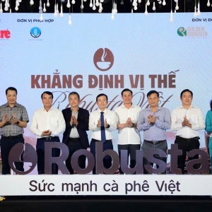 Phân bón Cà Mau đồng hành nâng chất lượng cà phê Robusta Việt từ gốc